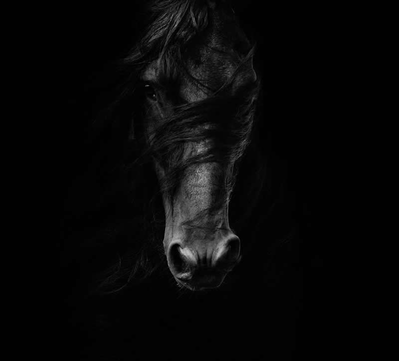 Light, Shadow, Soul: 33 Award-Winning Black and White Photos Celebrated in 2026 66 Samantha Dawn Ebeling by United States - 35 Photography Awards Winners