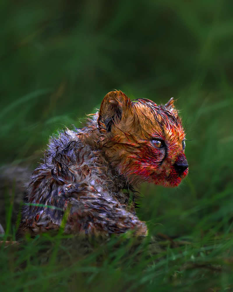 Madhur, India - 35 Photography Awards Wildlife Winners