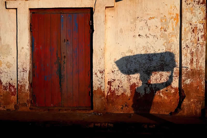 Madagascar Dreaming by Margo Ryan, United Kingdom - AAP Magazine Awards 2026 Shadow Winners