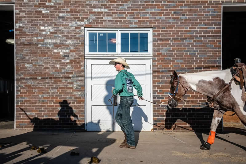 Stuck in the Middle by Mary Kay Kirsner, United States - AAP Magazine Awards 2026 Shadow Winners