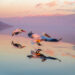 Animal Kingdom Winning Photos by Life Framer Photo Contest