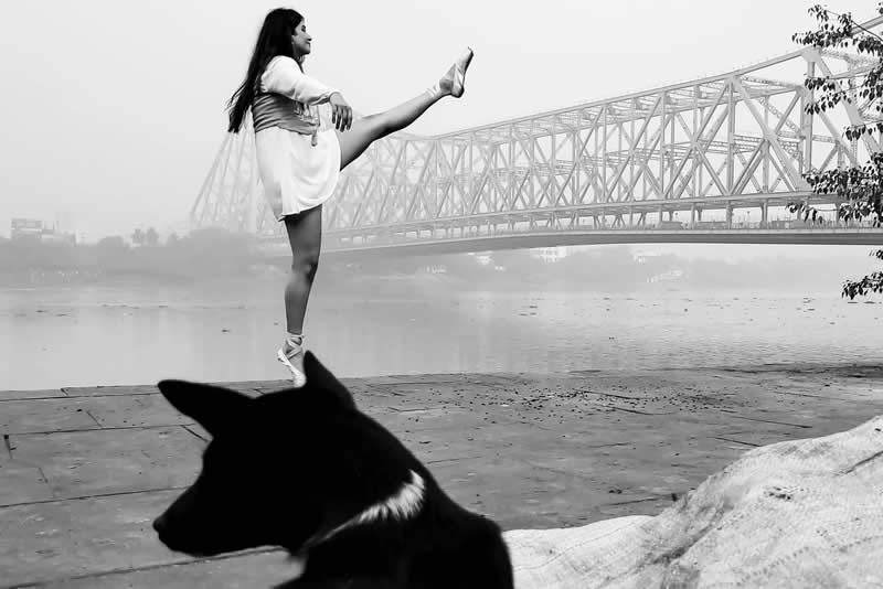 APF Magazine Street Photography Homorous Category Winners