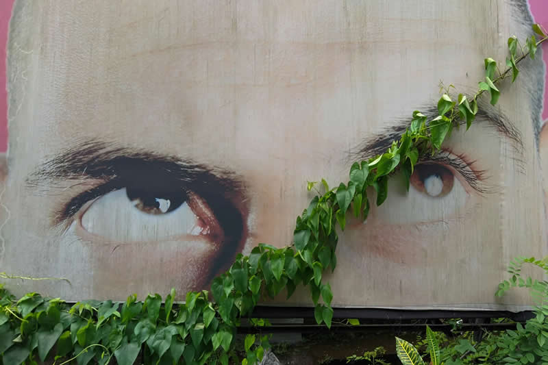 APF Magazine Street Photography Homorous Category Winners