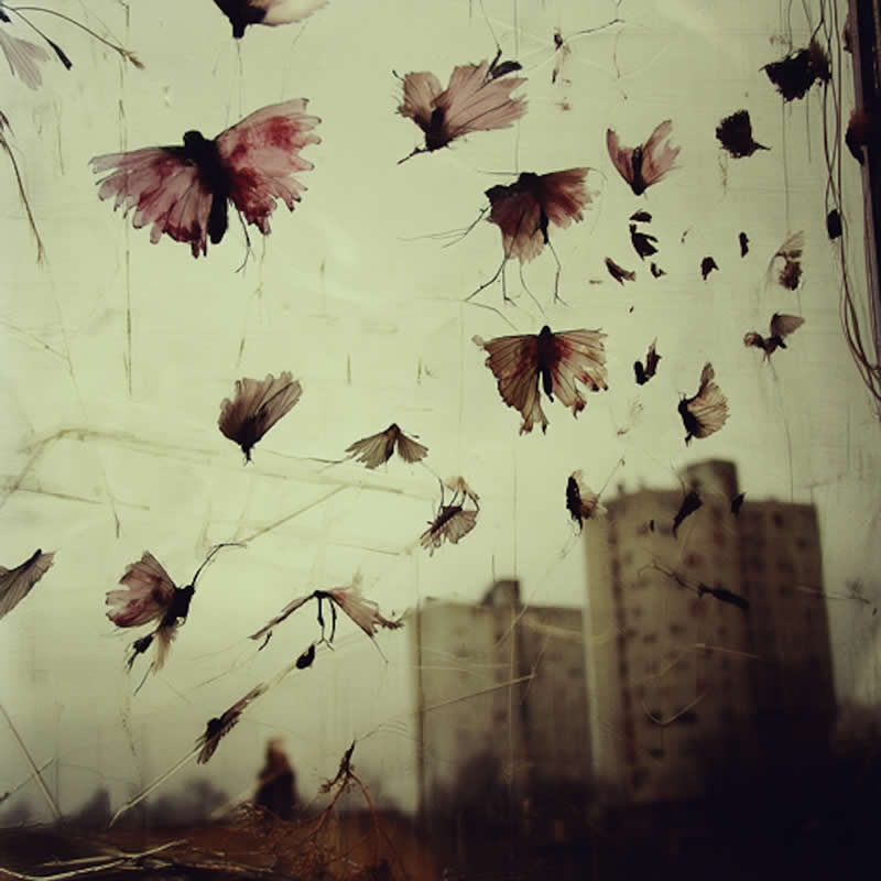 Artistic Abstract Photos by Chris Friel
