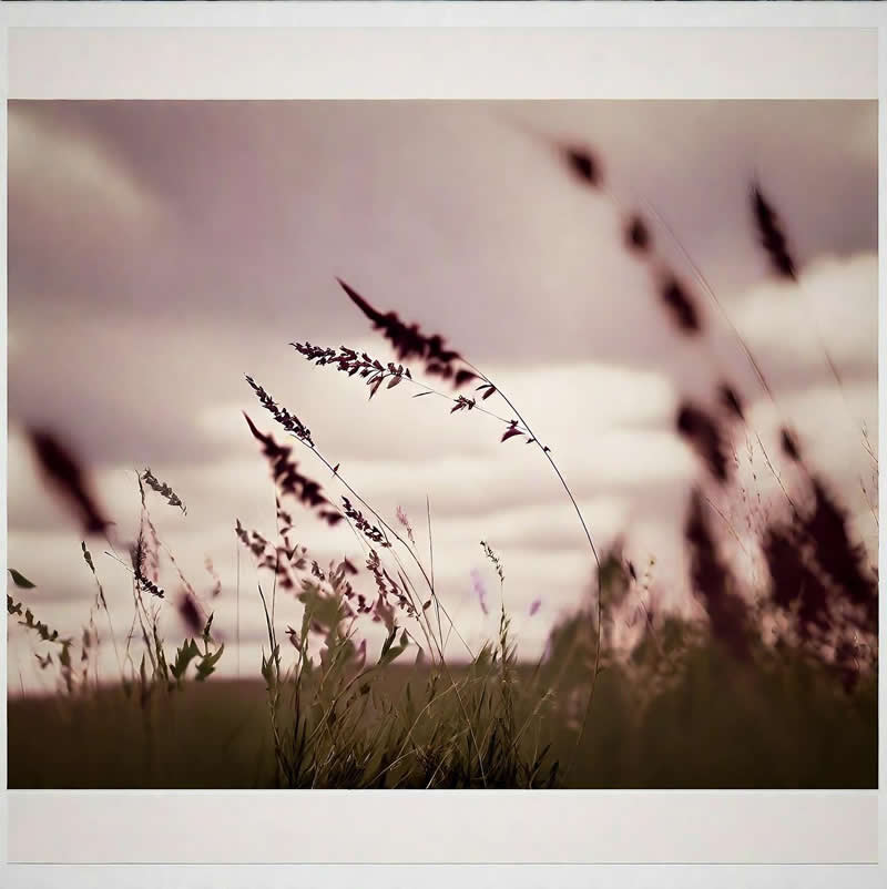 Artistic Abstract Photos by Chris Friel