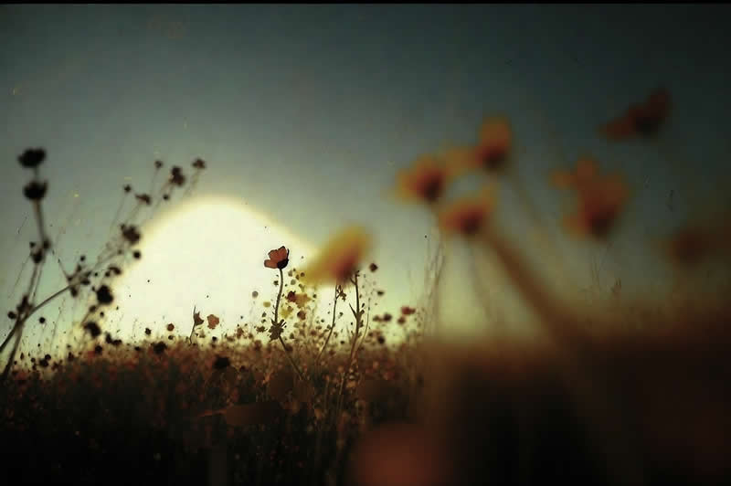 Artistic Abstract Photos by Chris Friel