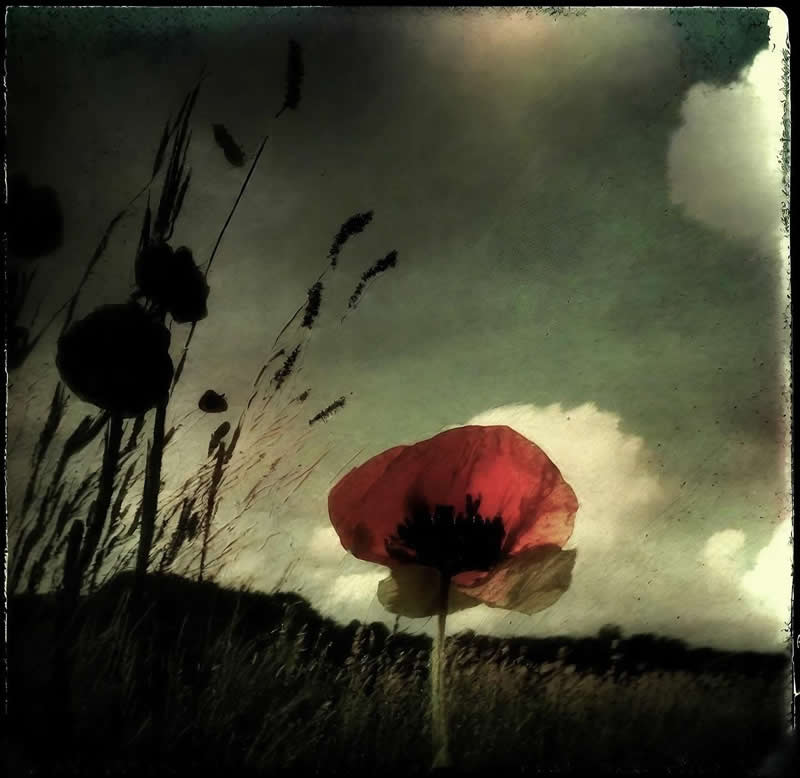 Artistic Abstract Photos by Chris Friel