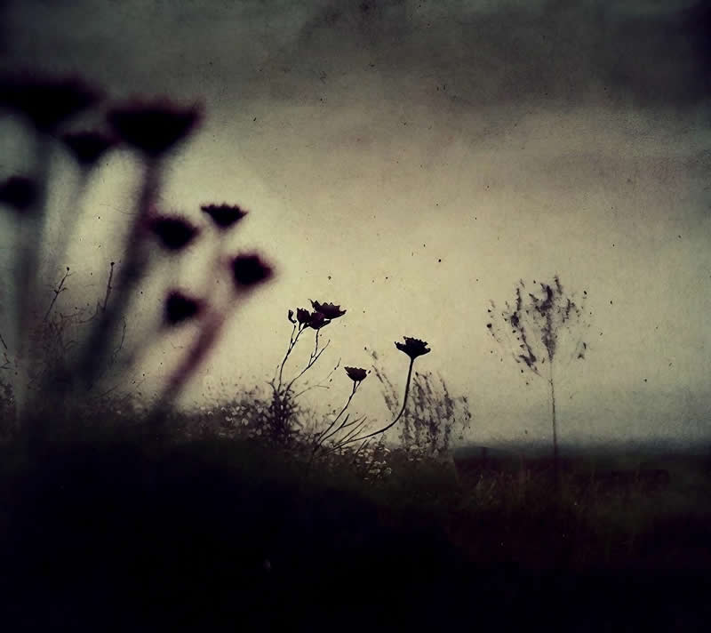 Artistic Abstract Photos by Chris Friel