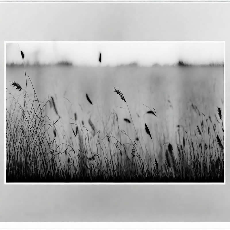 Artistic Abstract Photos by Chris Friel