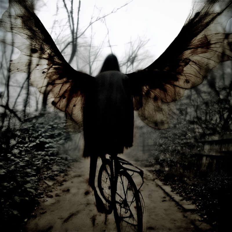 Artistic Abstract Photos by Chris Friel