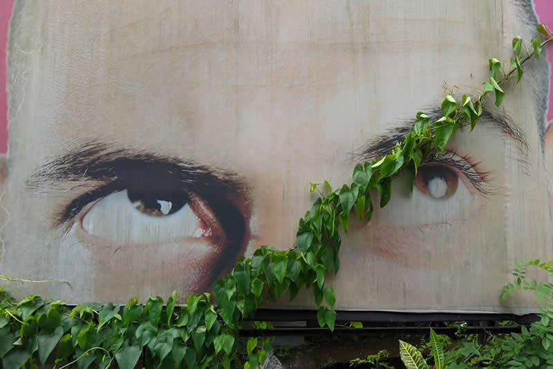 Clever Street Photos That Nail the Perfect Shot