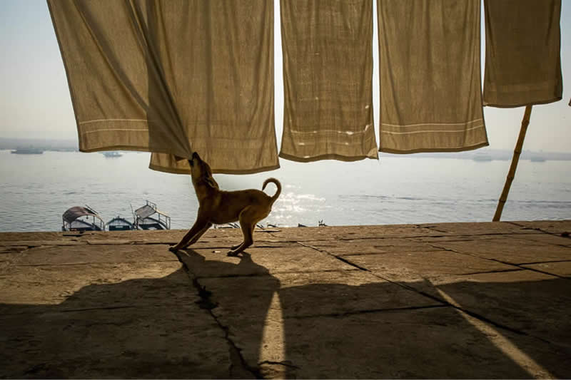 Clever Street Photos That Nail the Perfect Shot