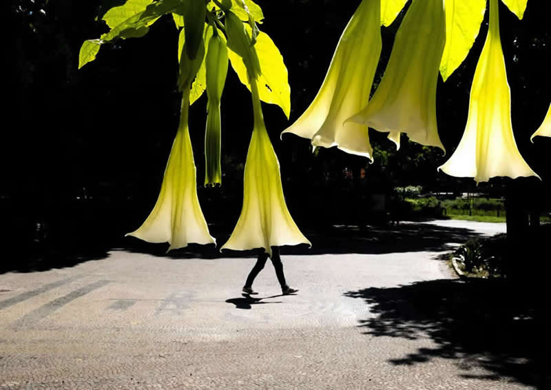 Clever Street Photos That Nail the Perfect Shot
