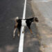 Clever Street Photos That Nail the Perfect Shot