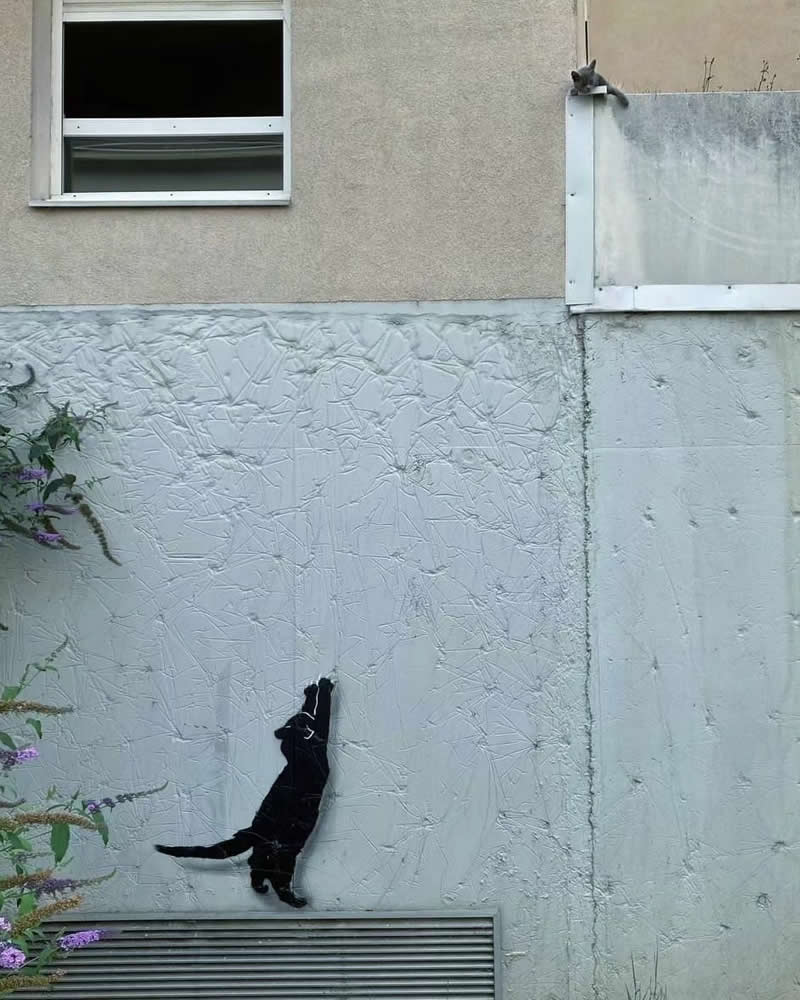 Creative Street Art Moments by OakOak