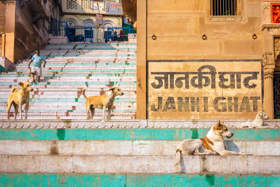 Street Photography by Dan Morris