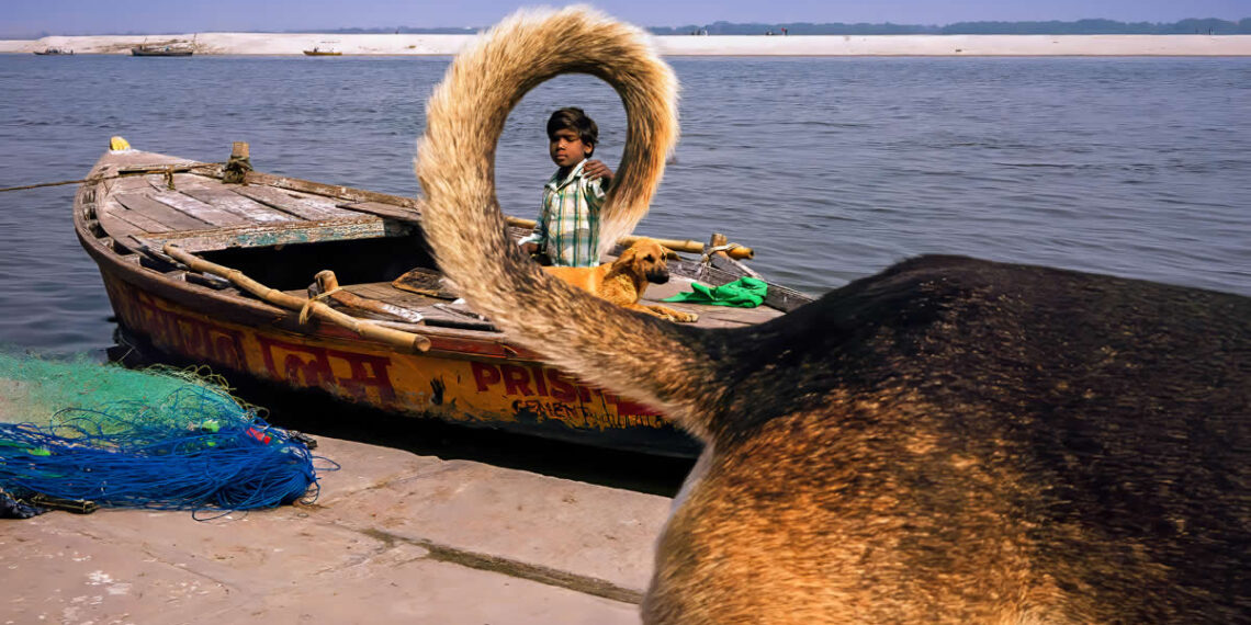 Street Photography by Dan Morris