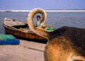 Street Photography by Dan Morris
