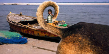 Street Photography by Dan Morris