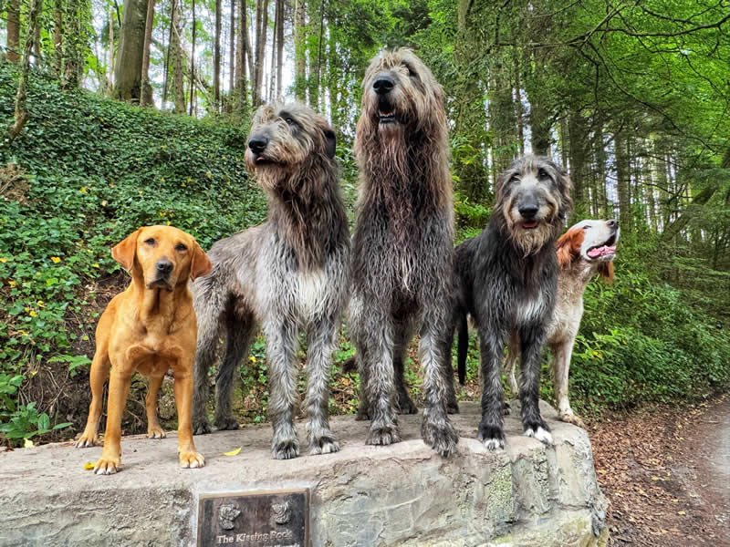 Gurushots Tell a Story Winners Photo Challenge