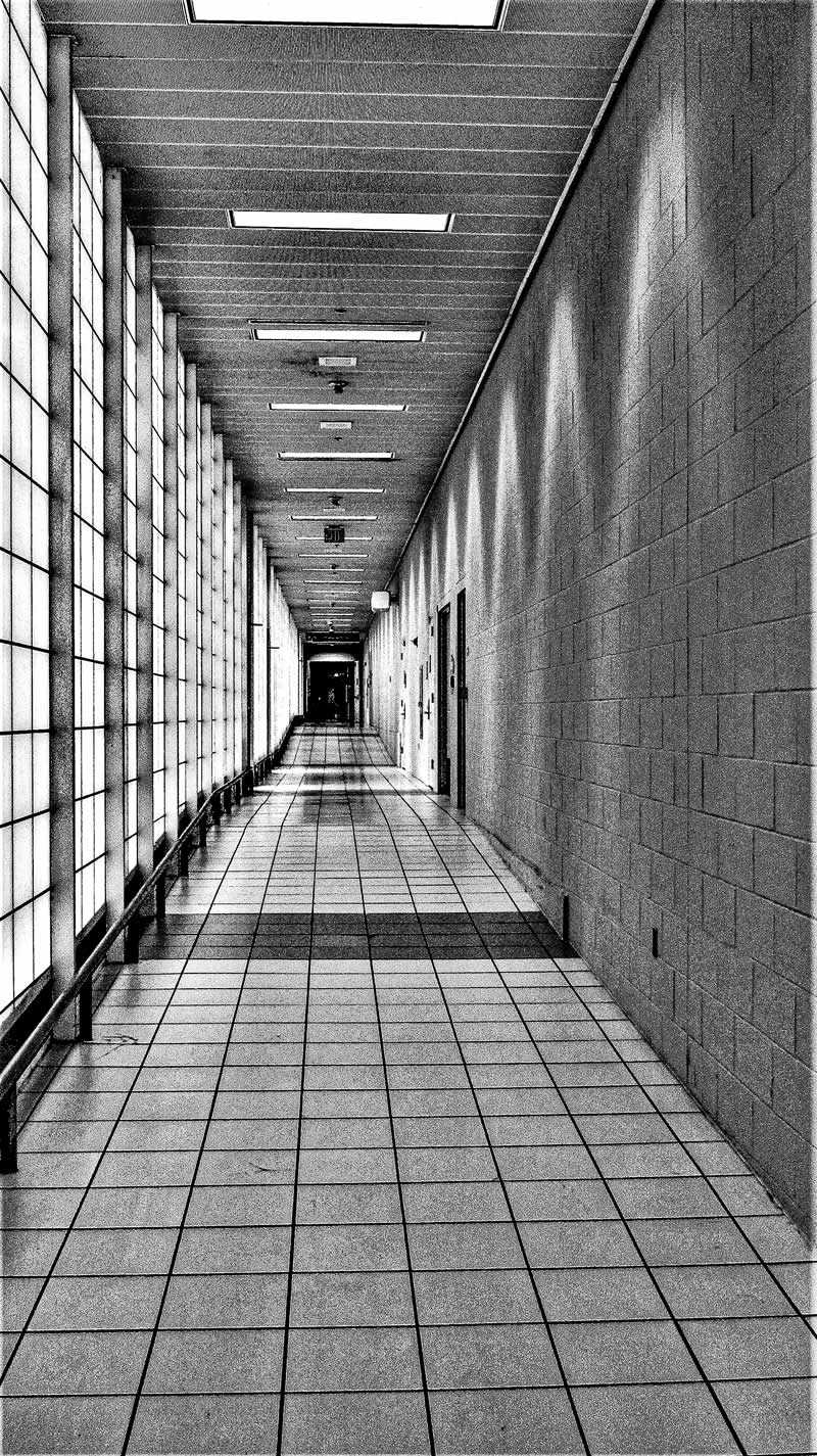 Gurushots Tell a Story Winners Photo Challenge