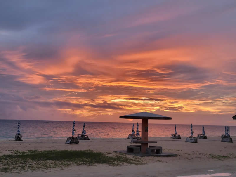 Gurushots Tell a Story Winners Photo Challenge