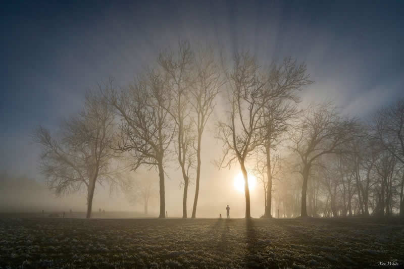 Gurushots Tell a Story Winners Photo Challenge