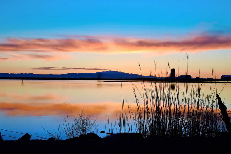 Gurushots Tell a Story Winners Photo Challenge