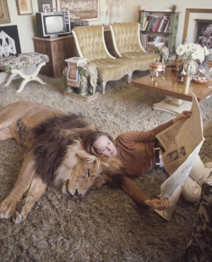 Tippi Hedren, famous for starring in Alfred Hitchcock&rsquo;s The Birds, and her husband, Noel Marshall, lived with their daughter Melanie Griffith and a lion named Neil. 1971