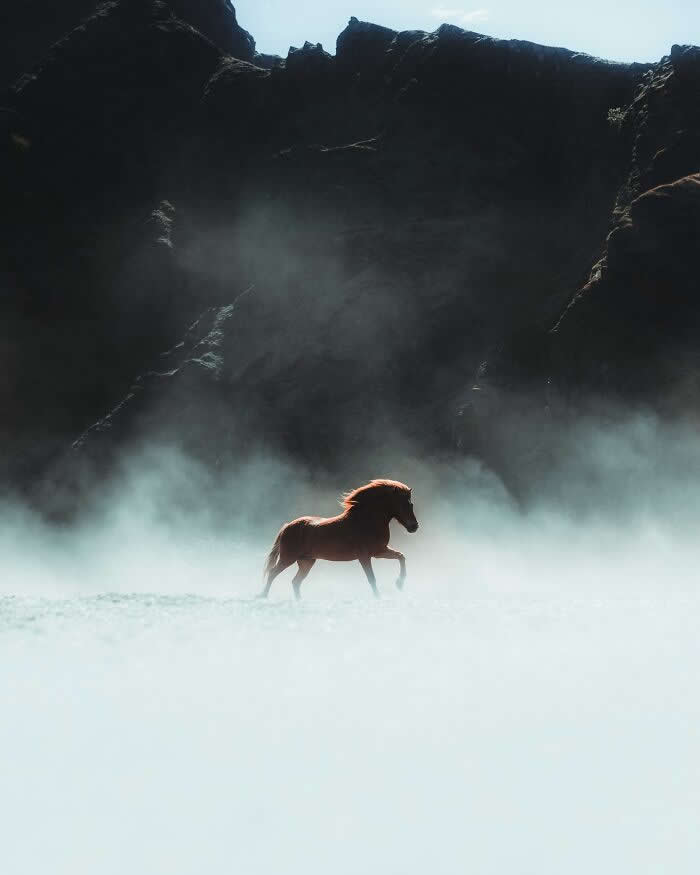 An Icelandic horse walking through thick mist with dark volcanic cliffs rising in the background, creating a dramatic and cinematic scene.