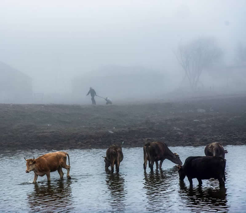 Powerful Portraits of Georgian Nomads by Natela Grigalashvili
