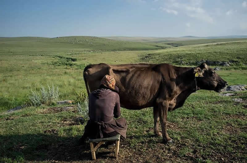 Powerful Portraits of Georgian Nomads by Natela Grigalashvili