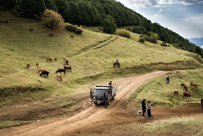 Powerful Portraits of Georgian Nomads by Natela Grigalashvili