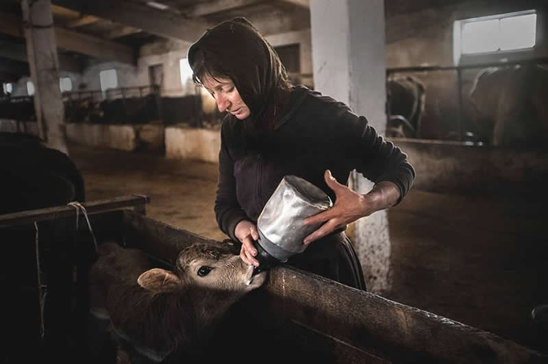 Powerful Portraits of Georgian Nomads by Natela Grigalashvili