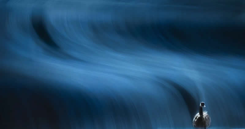 Luca Lorenz GDT Nature Photographer of the Year 2026 Winner 