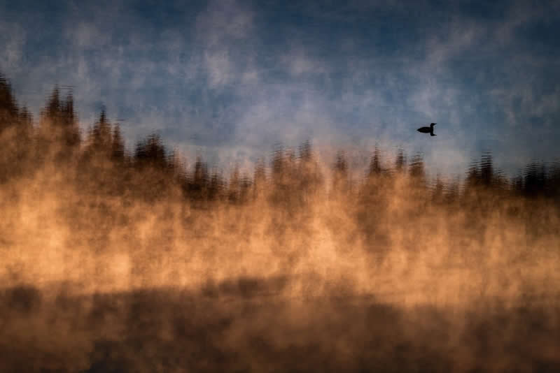 Luca Lorenz GDT Nature Photographer of the Year 2026 Winner 