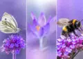 Mesmerizing Macro Photos by Lisette