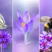 Mesmerizing Macro Photos by Lisette
