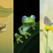 Macro Photos That Turn Small Moments Into Masterpieces
