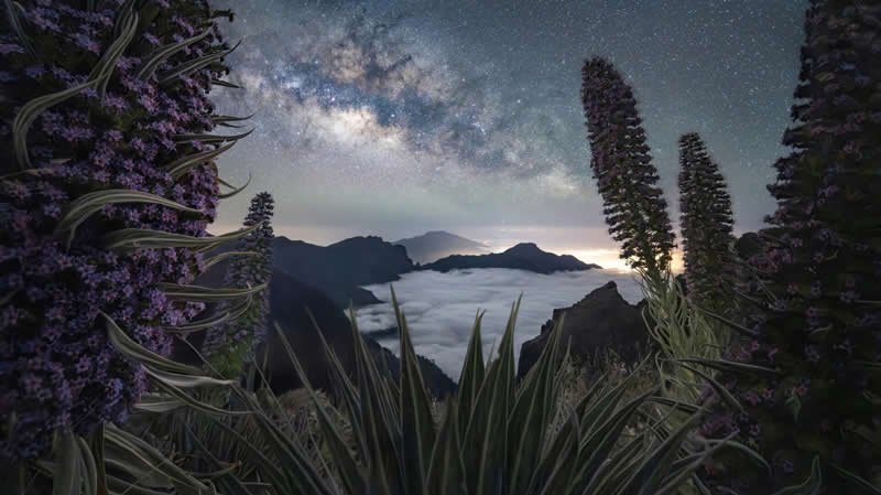 Caldera Galaxy Panorama by Max Terwindt - Milky Photographer of the Year 2026 Winners