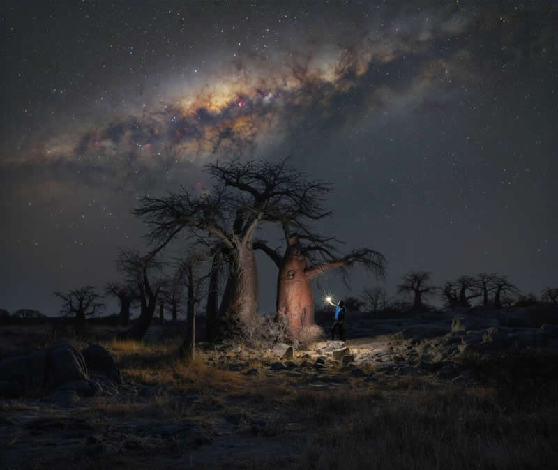Botswana Baobabs by Night by Stefano Pellegrini - Milky Photographer of the Year 2026 Winners