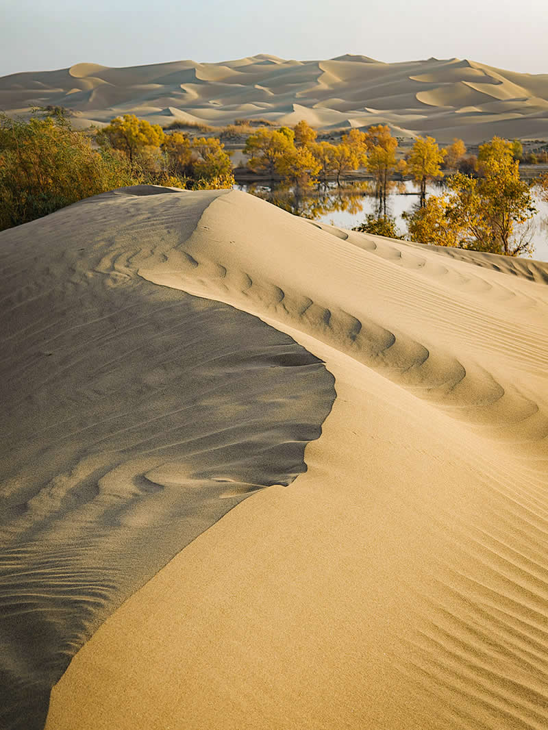 Wonders in the Desert by Kuanglong Zhang - Mobile Photography Awards