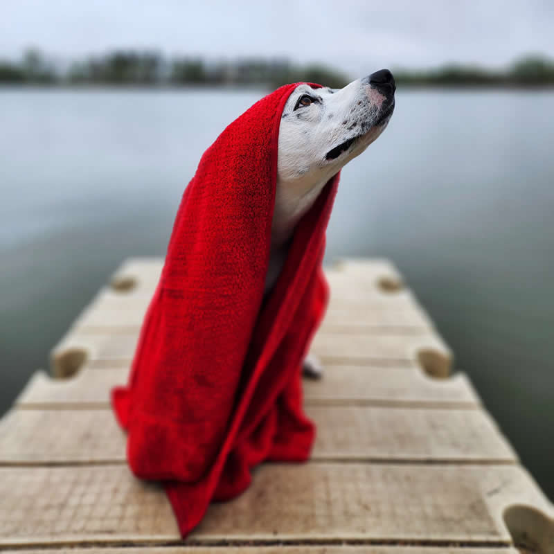 Looking Up by Cerrina Smith - Mobile Photography Awards