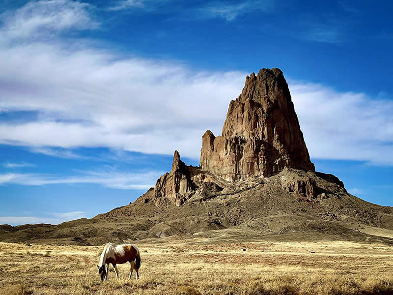 Mustang & Monolith by Jennifer Newitt - Mobile Photography Awards