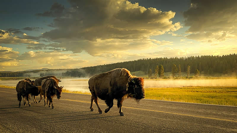 Guardians Of the Land by Tongsheng Wang - Mobile Photography Awards