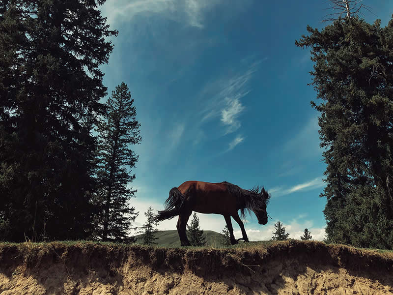 In That Big Somewhere by Xuan Wu - Mobile Photography Awards