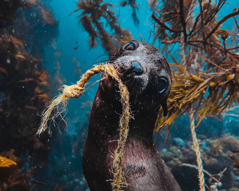 Can I help? by Selanie Waddilove - Mobile Photography Awards
