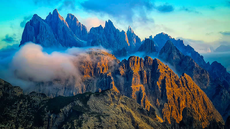 Nature&rsquo;s Cathedral by Aleksandra Nowak - Mobile Photography Awards