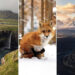 Shot on Phones: 36 Incredible Landscape and Wildlife Photos That Redefine Mobile Photography 71 Mobile Photography Awards Landscape and Wildlife Winners