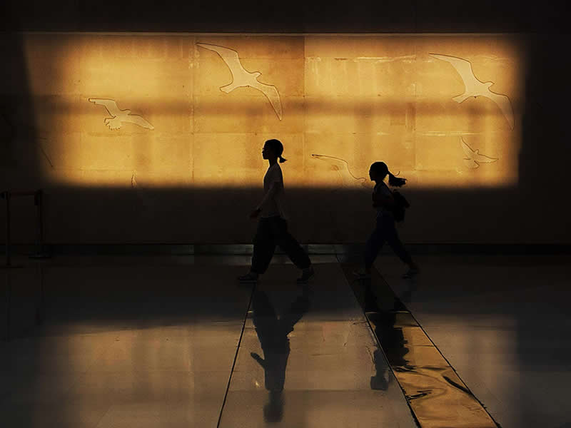 Shot on Phones: 33 Amazing Silhouette Photos That Redefine Mobile Photography 47 Golden Passage by Yunqiao Song - Mobile Photography Awards Silhouettes Winners